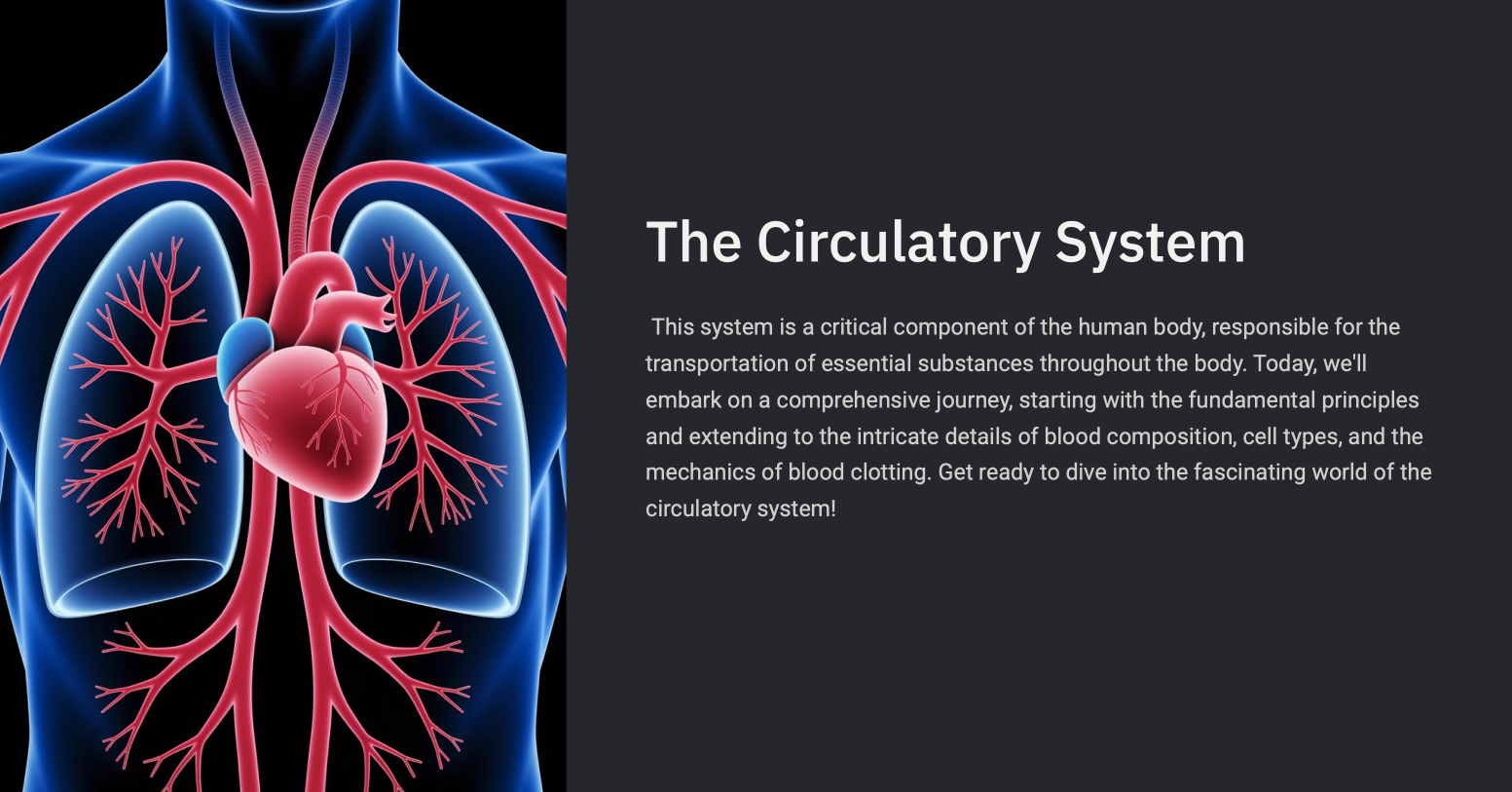 Presentation Slide 1
