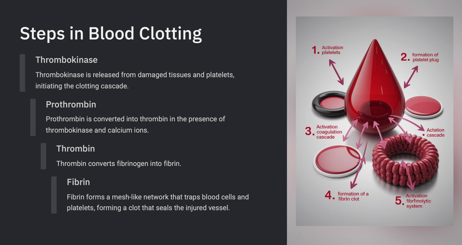 Presentation Slide 2