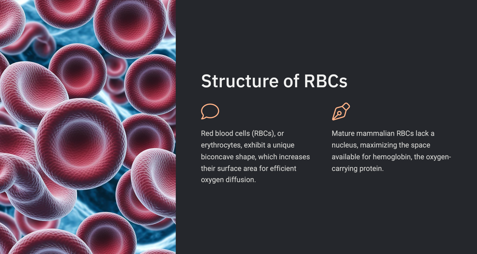 Presentation Slide 3